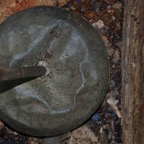 DSC_0130.jpg