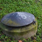 DSC_0215.jpg