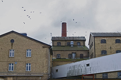 Stacks Image 27460