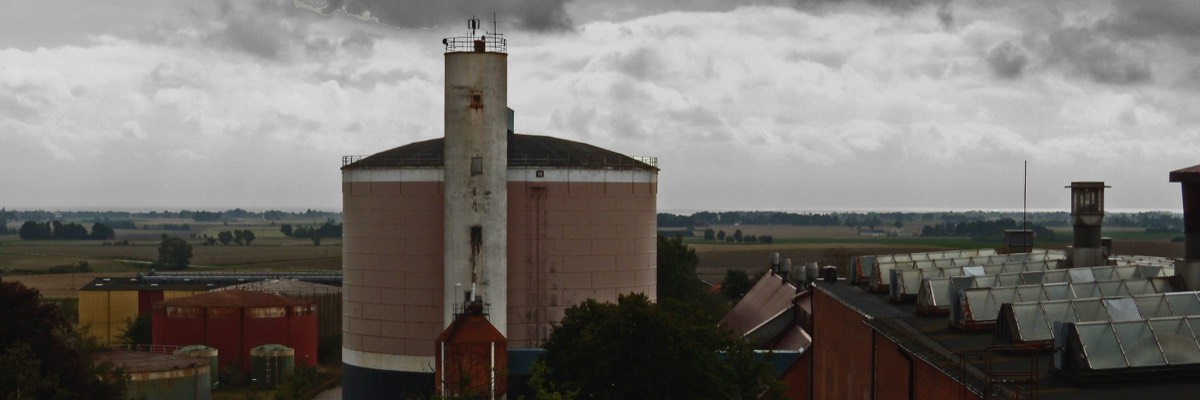 Stacks Image 1279