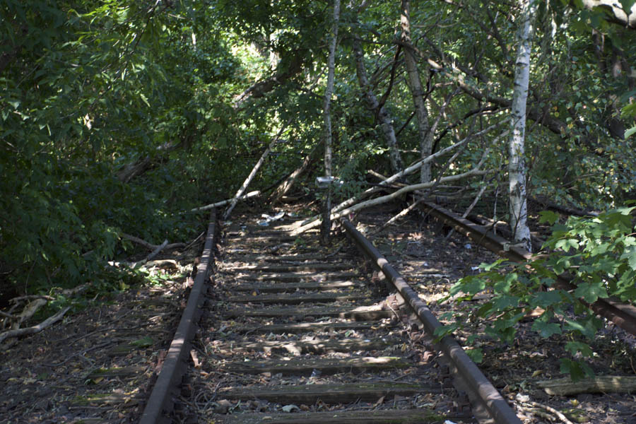 Stacks Image 52975
