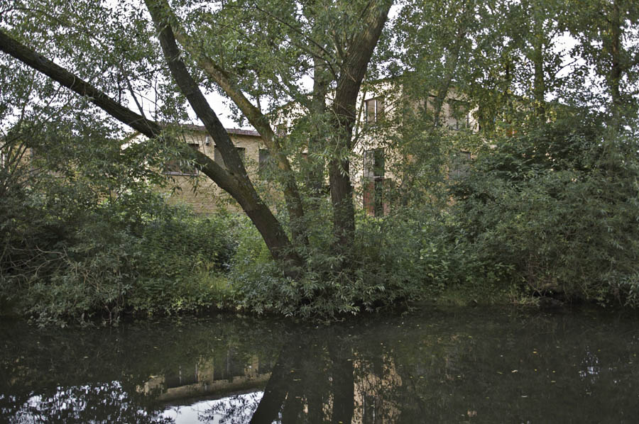 Stacks Image 35927