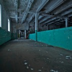 DSC_50503.jpg