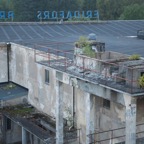 DSC_80229.jpg
