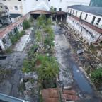 DSC_80578.jpg