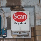 DSC_10565.jpg