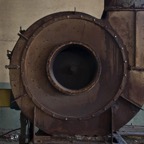DSC_50009.jpg