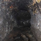 DSC_50201.jpg