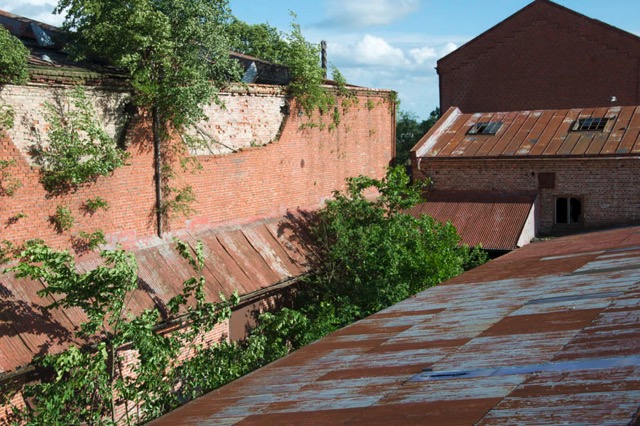 Loading Image