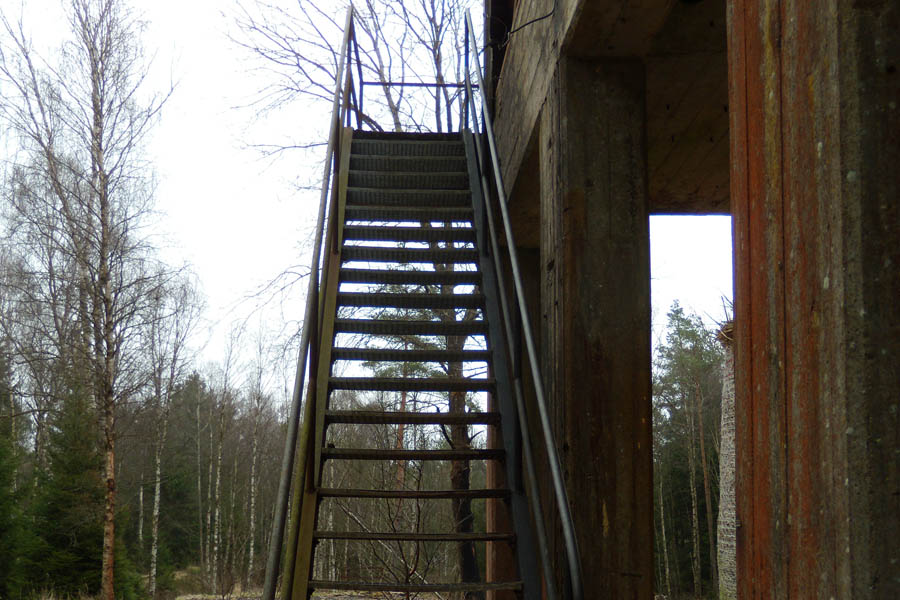 Stacks Image 35927