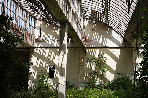 Stacks Image 124517