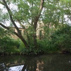DSC_00177.jpg