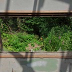 DSC_70144.jpg