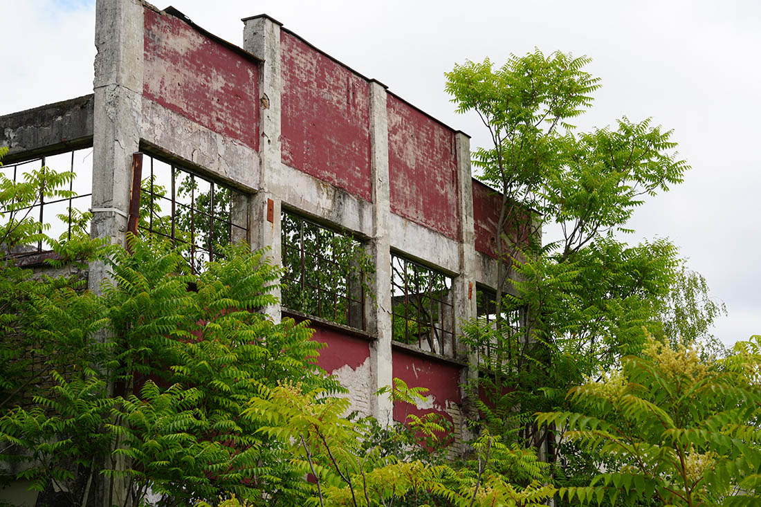Stacks Image 220015